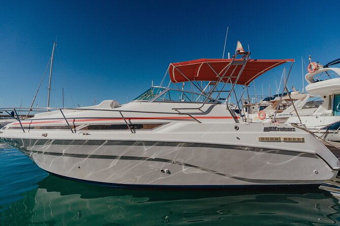 3 Hour VIP Private Luxury Boat Charter in Tenerife - Who will enjoy this charter most?