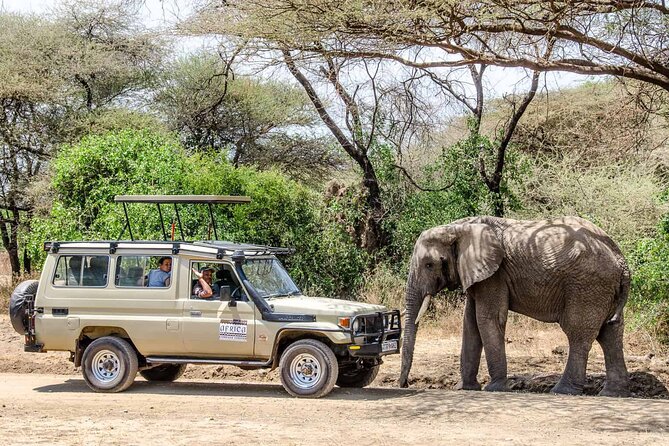 3Days luxury safari to Tarangire Ngorongoro crater and Manyara - Why this three-park route works