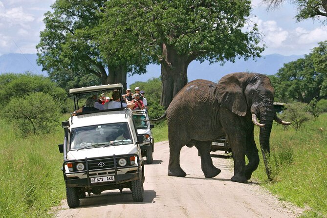 3Days luxury safari to Tarangire Ngorongoro crater and Manyara - Day 1: elephants and open country in Tarangire