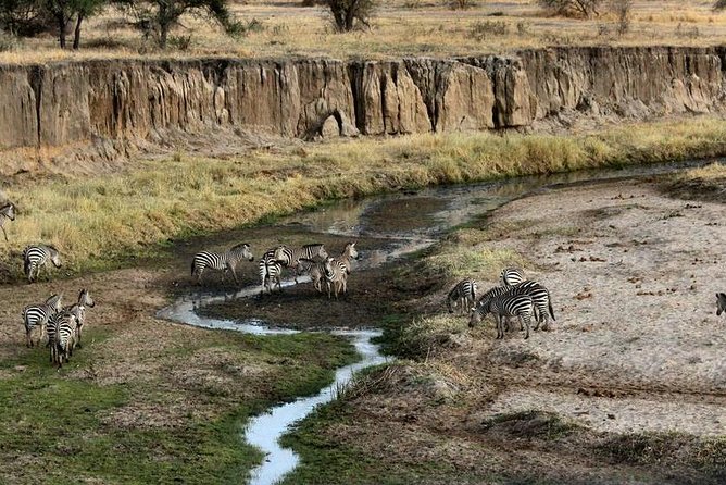 4 Day Tanzania Luxury Safari - Meals, Lodges, and the Meaning of Luxury