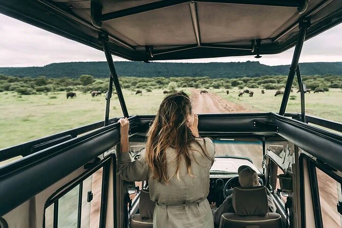 4 days Awesome Luxury safari Tarangire Serengeti & Ngorongoro - Day 3: Early wildlife viewing in the Serengeti