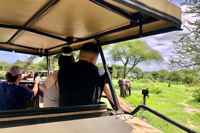 4 days Awesome Luxury safari Tarangire Serengeti & Ngorongoro - What private guiding adds to the experience