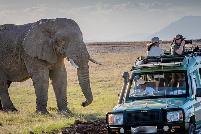 4 days Awesome Luxury safari Tarangire Serengeti & Ngorongoro - Day 2: Crossing the highlands into the Serengeti