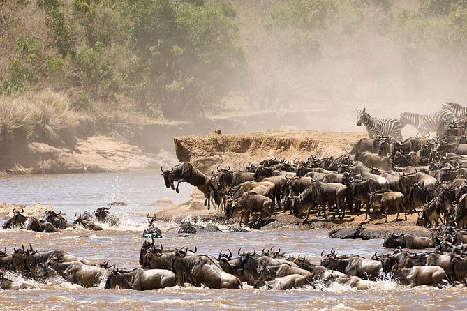 4 Days Luxury Lodge Safari Tour Tanzania - Day 1: Tarangire and the first elephant herds