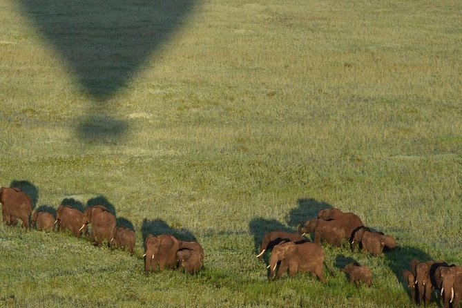 4 days luxury safari (a dream experience) - Who should book this four-day safari?