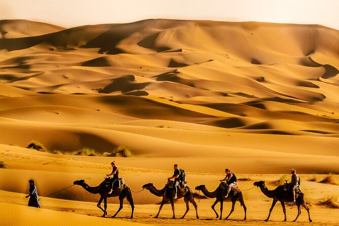 4 Days Sahara Desert VIP Private Tour from Marrakech & Luxuy Camp - Day two: Monkey Fingers, Todra Gorge, and Merzouga