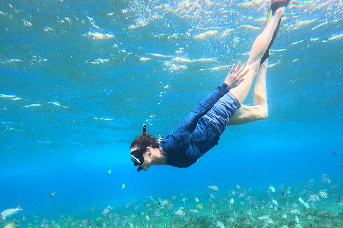 4 Hour Cozumel Turtle Sanctuary Experience on a Luxury Catamarán - The ride home and the sunset question