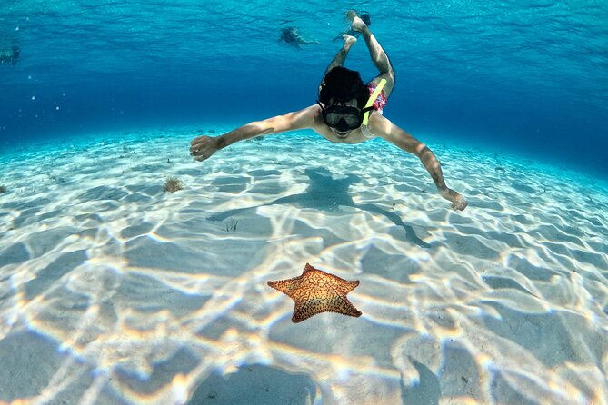 4 Hour Cozumel Turtle Sanctuary Experience on a Luxury Catamarán - Boat comfort, bathroom, and practical limits