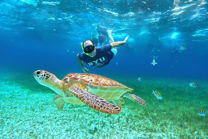 4 Hour Cozumel Turtle Sanctuary Experience on a Luxury Catamarán - What the reef stops are really like