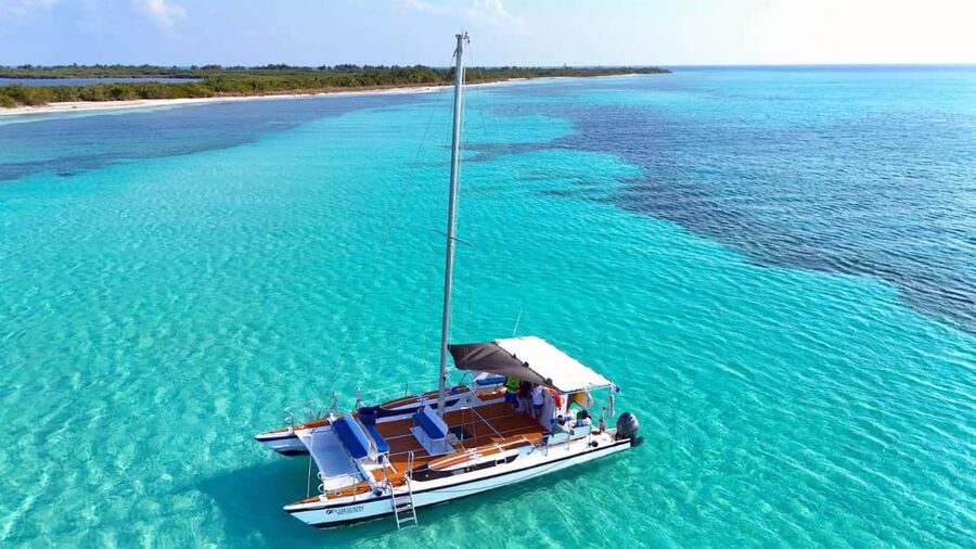 4 Hour Turtle Sanctuary Experience on a Luxury Catamarán - What this four-hour Cozumel outing is really like