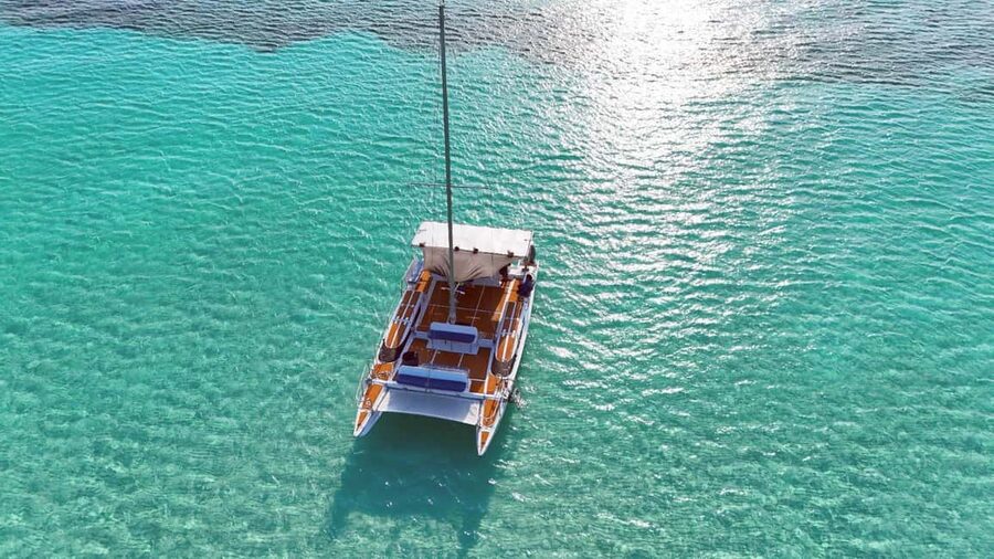 4 Hour Turtle Sanctuary Experience on a Luxury Catamarán - First stop: snorkeling at the green turtle sanctuary