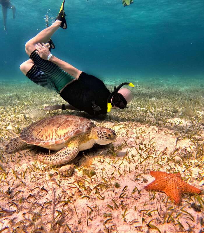 4 Hour Turtle Sanctuary Experience on a Luxury Catamarán - Cielito, the quiet finish on a sandbank