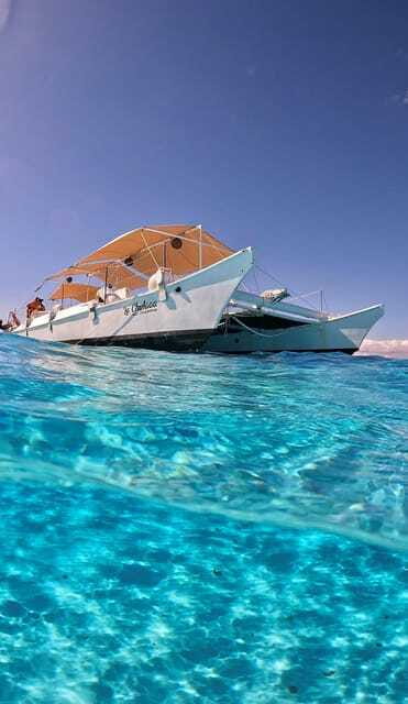 4 Hour Turtle Sanctuary Experience on a Luxury Catamarán - Food, drinks, and what you need to bring