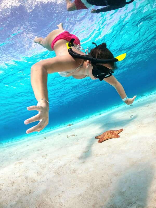 4 Hour Turtle Sanctuary Experience on a Luxury Catamarán - Who gets the best value from this trip