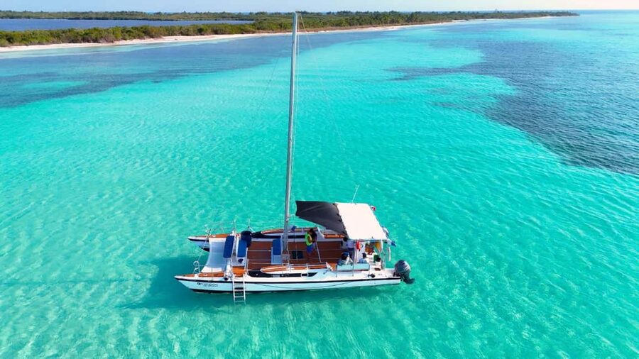 4 Hour Turtle Sanctuary Experience on a Luxury Catamarán - Meeting at the Cozumel flagpole