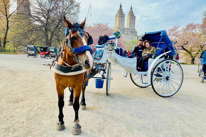45 min Long VIP Central park carriage ride - What the carriage ride feels like in Central Park