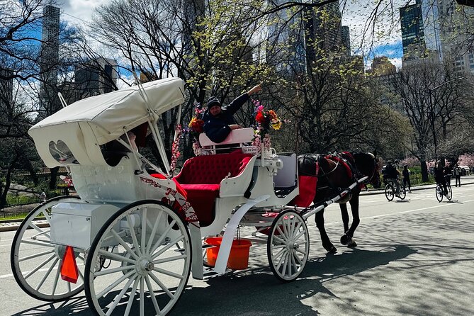 45 min Long VIP Central park carriage ride - The Mall and Cherry Hill photo stop