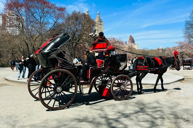 45 min Long VIP Central park carriage ride - The driver makes the difference