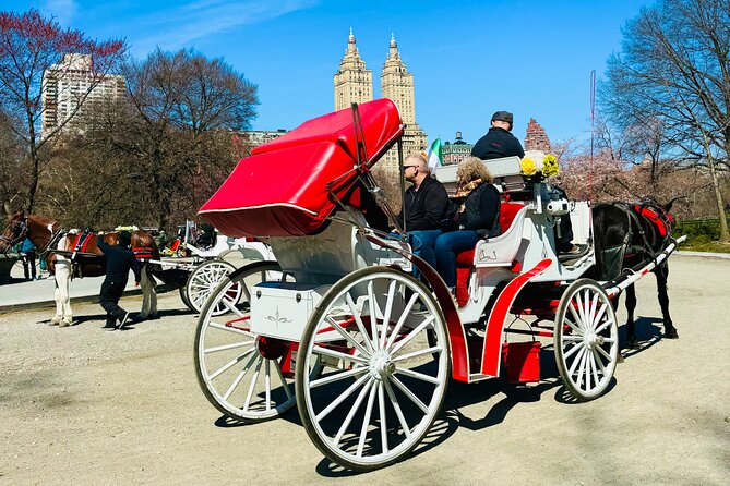 45 min Long VIP Central park carriage ride - Winter blankets, weather, and comfort