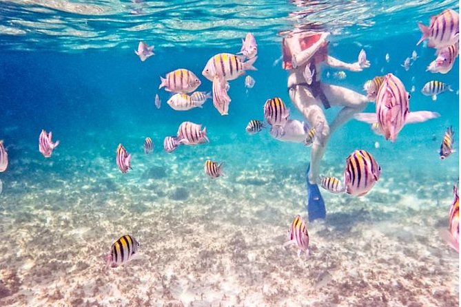4H Luxury 44' Catamaran All-Inclusive in Tulum & Playa del Carmen - What the In-Ha reef stop is really like