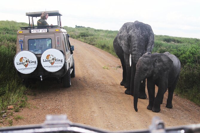 5 Days Best of Tanzania Luxury Safari Northern Circuit - Day 4: A long Serengeti game drive