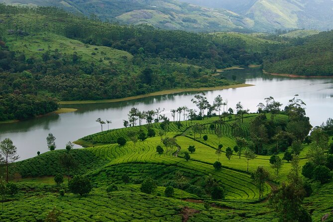 5 Days Luxury Kerala Tour with Houseboat Experience - Day 1: Kochi to Munnar by waterfalls and tea