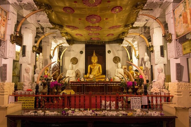 5 Days Tour in Sri Lanka (Hotels with Breakfast & Luxury Car) - Five details that shape the experience