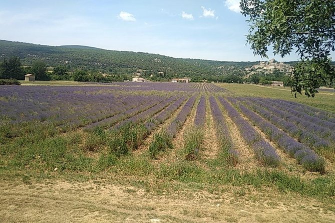 5-Hour Private Sightseeing Tour of the Provence from Marseille in Luxury Car - A private introduction to three corners of Provence