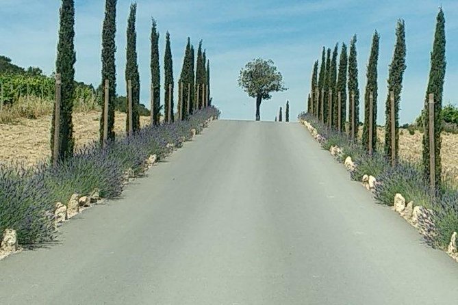 5-Hour Private Sightseeing Tour of the Provence from Marseille in Luxury Car - Two Marseille palaces, two different photo stops