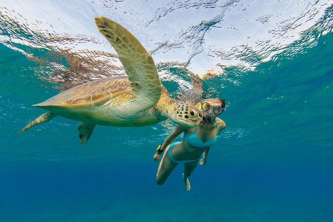 50' Luxury Yacht. Private Full or Half Day Catamaran Snorkel, & Beach Experience - Half day or full day?