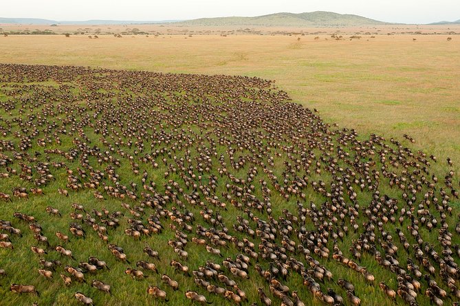 6-Day Serengeti Migration: Private Safari with Mid-range Luxury - What $5,340 buys you in six days