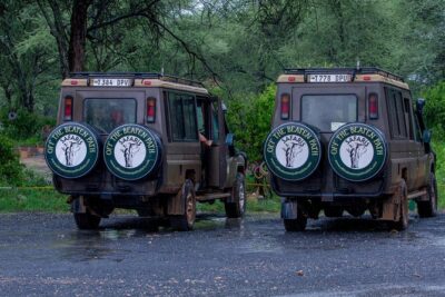 6 Days Luxury Northern Circuit Safari – A Glimpse of Tanzania Adventure
