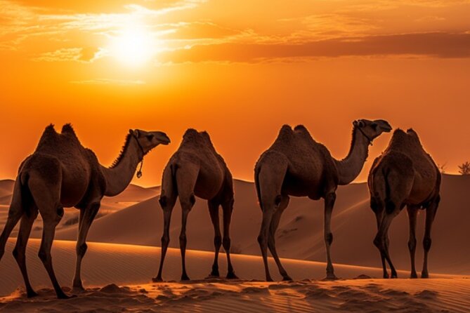 6-Hour Luxury Evening Dubai Desert Safari - BBQ Dinner Live Shows - Belly dancing, tanoura and the fire show