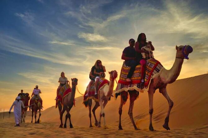 6-Hour Luxury Evening Dubai Desert Safari - BBQ Dinner Live Shows - Who should book this evening safari?