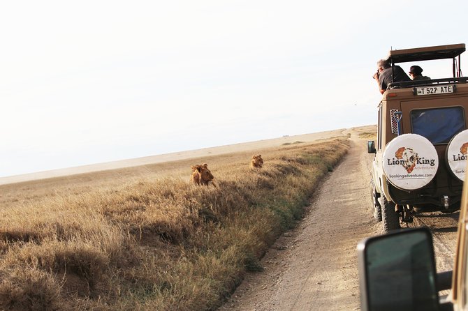 7-Day Premium Luxury Tanzania Safari All-Inclusive - Day 2: Elephants and open country in Tarangire