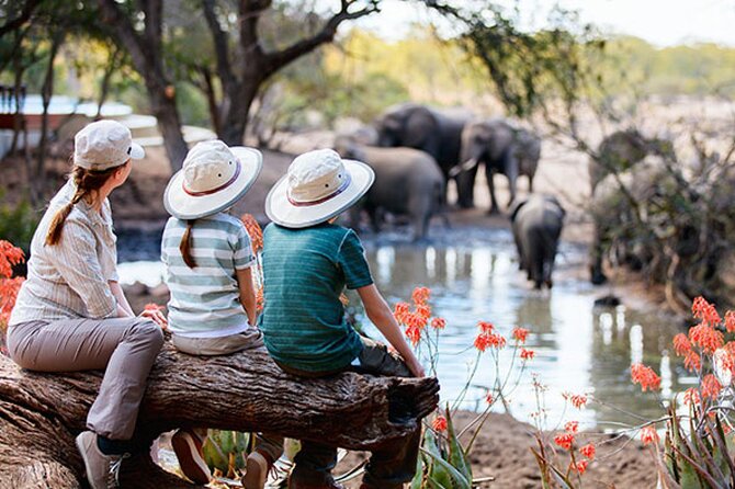 7 Days Best Luxury Safari To Tanzania - Key points at a glance