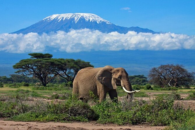 7 Days Best Luxury Safari To Tanzania - Arusha is the soft landing before the bush