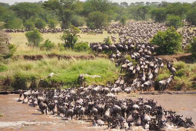 7 Days Best Luxury Safari To Tanzania - Ngorongoro Crater is the wildlife centerpiece