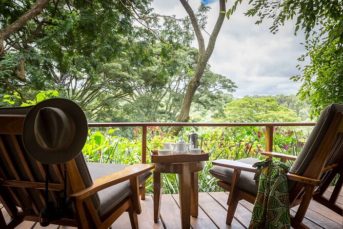 7 Days Best Luxury Safari To Tanzania - The Serengeti to Zanzibar transfer