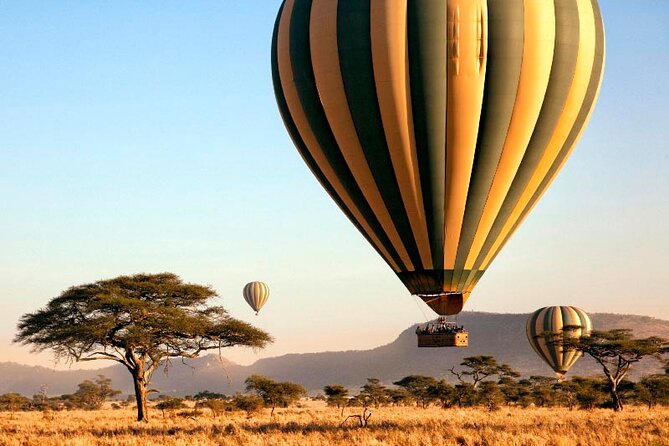 7 Days Best Luxury Safari To Tanzania - Tarangire brings elephants and open skies