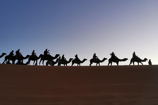 7 Days Discovery The Atlas Mountains & Luxury Sahara Desert From Casablanca - Day 5: Desert sunrise, the Dades Valley, and Ait Ben Haddou