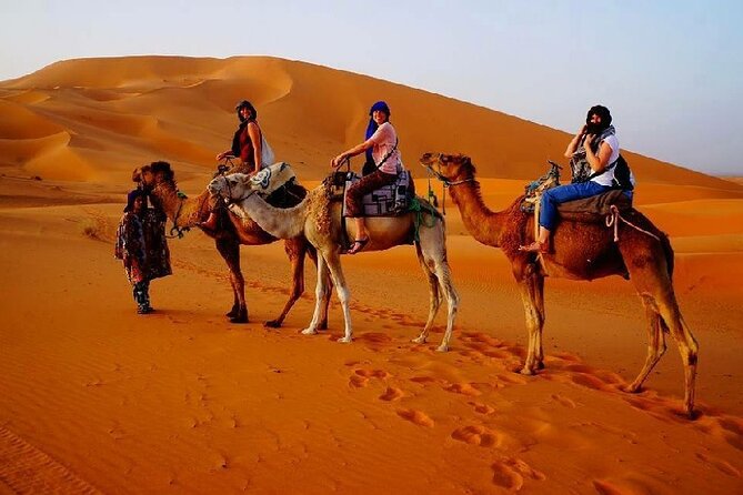 7 Days Luxury Desert Tour From Casablanca to Marrakech via fez -Camel trekking - Day 4: Sahara sunrise and Todra Gorge