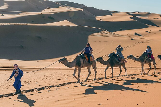 7 Days Luxury Desert Tour From Casablanca to Marrakech via fez -Camel trekking - Day 7: Return to Casablanca or finish in Marrakech