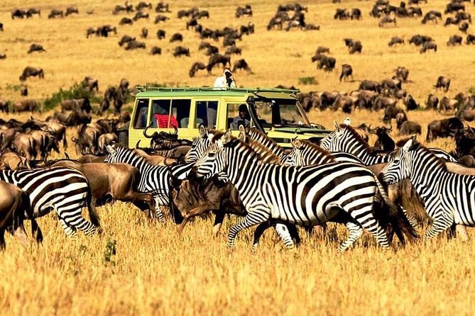 7 Days Tanzania Luxury Safaris - A seven-day route through Tanzania’s northern circuit