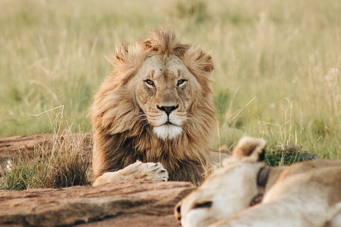 7 Days Tanzania Luxury Safaris - Day seven: a cultural morning in Mto wa Mbu