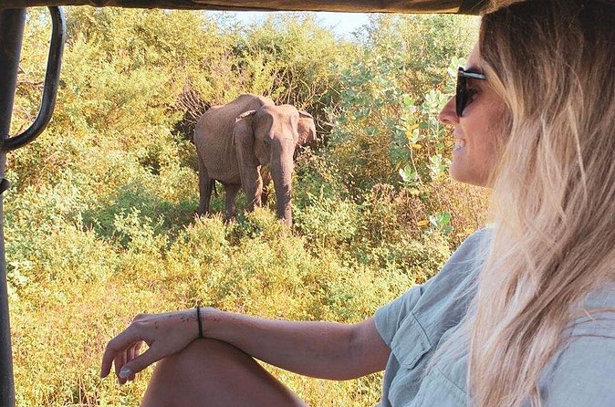 7 Days Tour in Sri Lanka Hotels with Breakfast and Luxury Car - Day 6: Waterfalls, stone-carved Buddhas, and two safaris