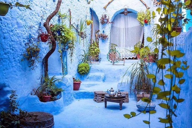 8D Morocco Luxury Private Tour From Casablanca By Imperial Cities - Fes, where a local guide earns his keep