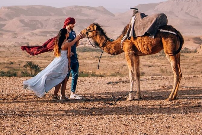 8D Morocco Luxury Private Tour From Casablanca By Imperial Cities - Across cedar forests and the High Atlas toward the Sahara