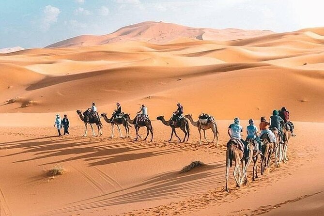 8D Morocco Luxury Private Tour From Casablanca By Imperial Cities - Todra Gorge, Dades Valley, and the Valley of a Thousand Kasbahs