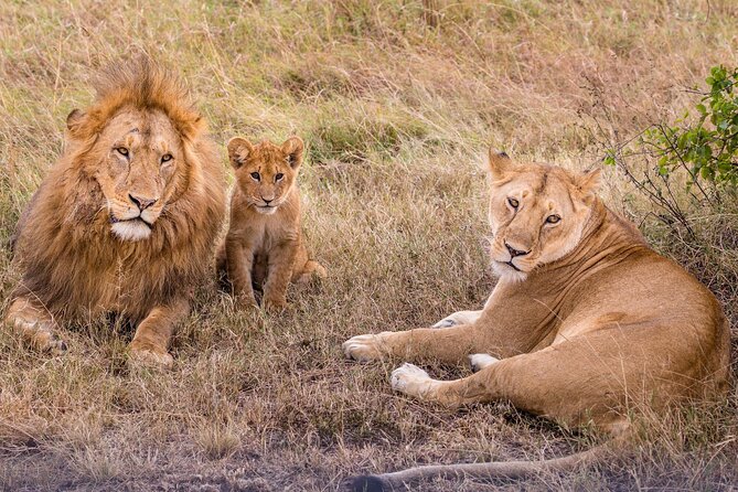 9-Day Ultimate Tanzania Honeymoon Safari Luxury Package - Empakaai Crater brings a quieter highland day
